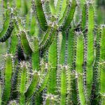 如何在皇城娱乐平台注册网站上安全注册与登录 3alnlgl6