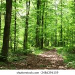 如何在红9平台上实现个人财富的快速增长 3jug7hajz