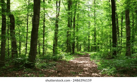 如何在红9平台上实现个人财富的快速增长 如何在红9平台上实现个人财富的快速增长