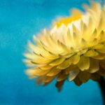 如何在胜博娱乐中提高你的游戏胜率与技巧 50wsdbrjj