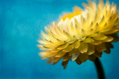 如何在胜博娱乐中提高你的游戏胜率与技巧 如何在胜博娱乐中提高你的游戏胜率与技巧