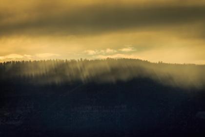 如何在至尊娱乐注册平台上轻松获取丰厚奖励 如何在至尊娱乐注册平台上轻松获取丰厚奖励