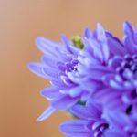 如何在美高梅赌场平台上提升你的赢钱技巧与策略 mktgesq79