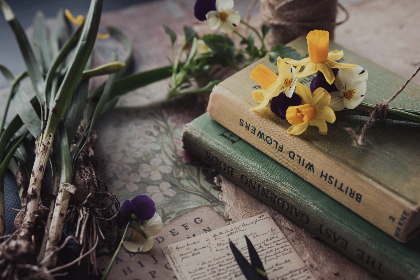 如何在立博官网上安全便捷地进行投注