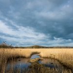 如何在盈丰国际娱乐平台上获得更多游戏乐趣 pk80hnm9