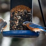 如何在至尊宝娱乐中获得更多的游戏奖励与乐趣 xd3b6be6