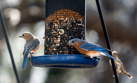 如何在至尊宝娱乐中获得更多的游戏奖励与乐趣 如何在至尊宝娱乐中获得更多的游戏奖励与乐趣