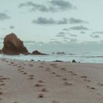 如何在至尊国际享受顶级服务与独特体验 zfph7b6