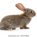 3d开奖2025167期最新开奖结果查询 1talad