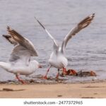 19014期体彩开奖结果揭晓,大奖花落谁家引关注 6k39df