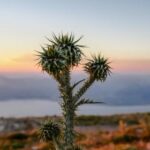 3D开奖2025071期最新开奖号码结果公布 a7sl89742i