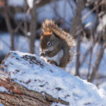19067期双色球开奖结果公布,头奖花落谁家? cdnvv2xl