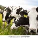 19062期双色球开奖结果公布最新中奖号码查询 fmn3maj5h