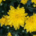 19042期彩票开奖时间及结果查询指南 g6fbn0