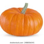 19037期大乐透开奖结果揭晓,大奖花落谁家引关注 gsi3dwltz