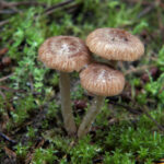 19063期开奖结果震撼揭晓,大奖花落谁家引关注 m5gi1lb