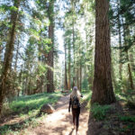 19012期开奖号码公布,最新结果揭晓 oxaqu