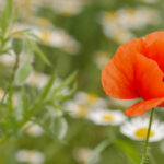 19010期足彩开奖结果正式公布,奖金分配详情出炉 qima7y