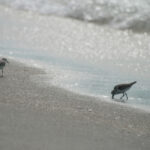 19058期大乐透开奖结果公布,大奖花落谁家? tltavq9oep