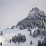 3D开奖2025005期最新结果公布,中奖号码已揭晓 y18r3rv5